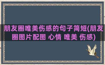 朋友圈唯美伤感的句子简短(朋友圈图片配图 心情 唯美 伤感)